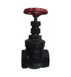 Z15T-10(ni)ݼyly